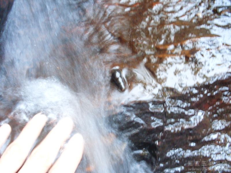 SDC16708.JPG