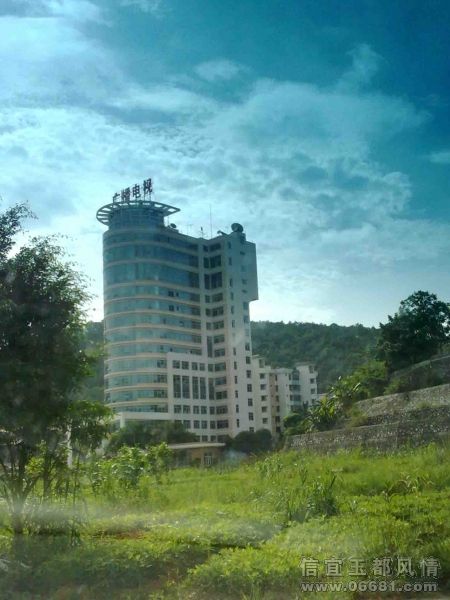 20090603069.jpg