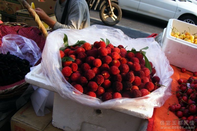 DSCF3600.JPG