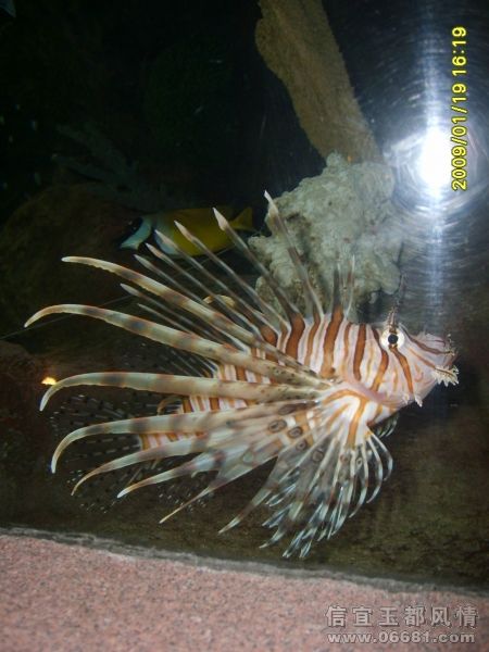 S6002254.JPG