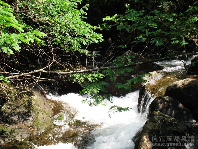 IMG_0156.jpg