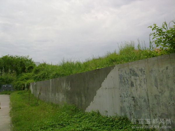 20090611224.jpg