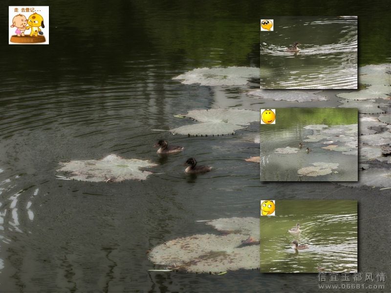 IMG_05298788����.jpg