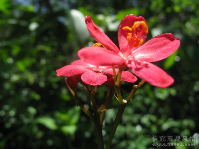 IMG_0923.jpg