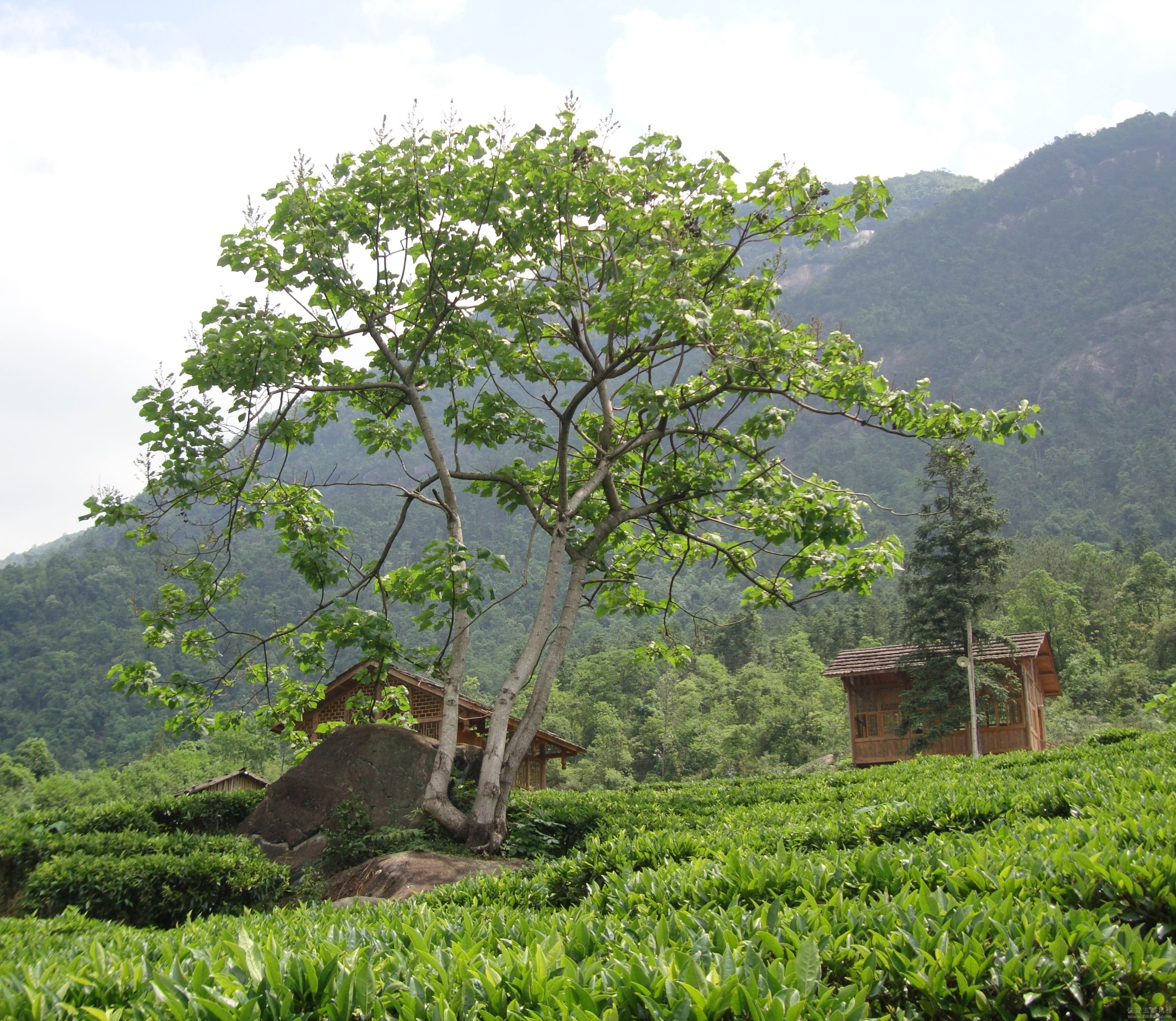 123.jpg