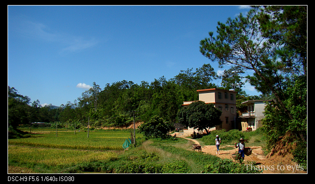 DSC06887.jpg