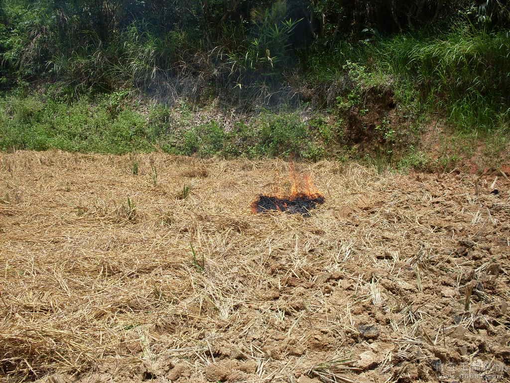 SDC17959.JPG