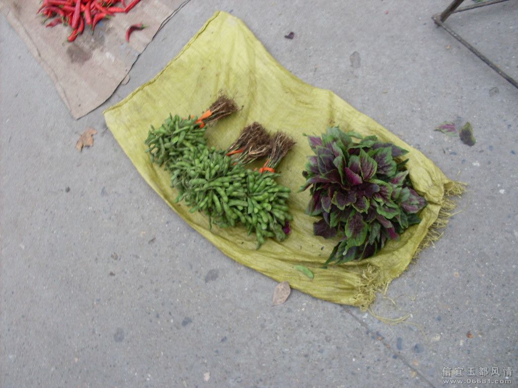 SDC18260.JPG