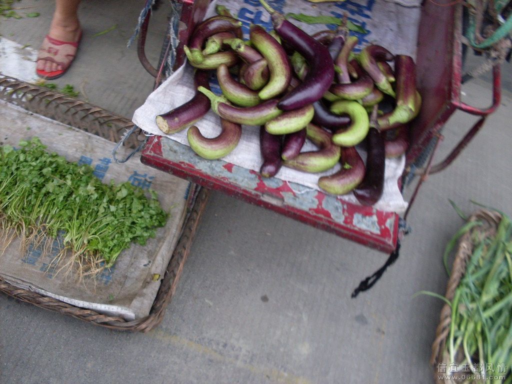 SDC18280.JPG