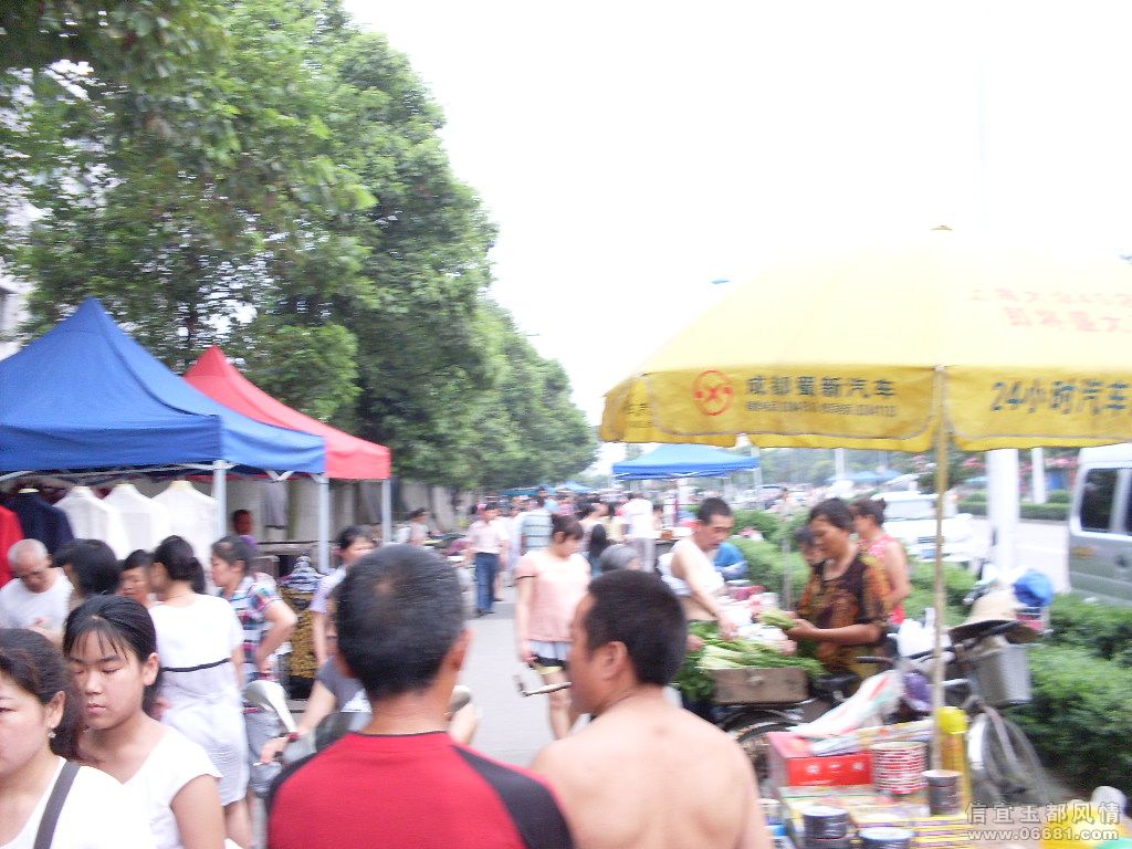 SDC18265.JPG