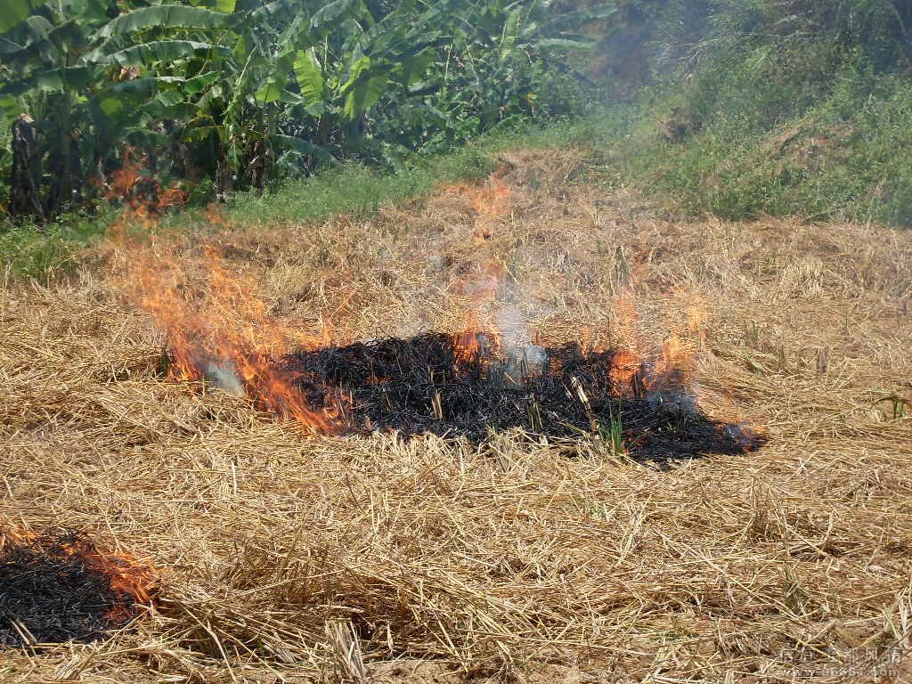 SDC17962.JPG