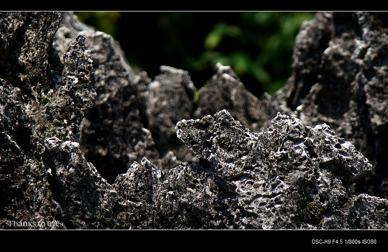 DSC06363.jpg