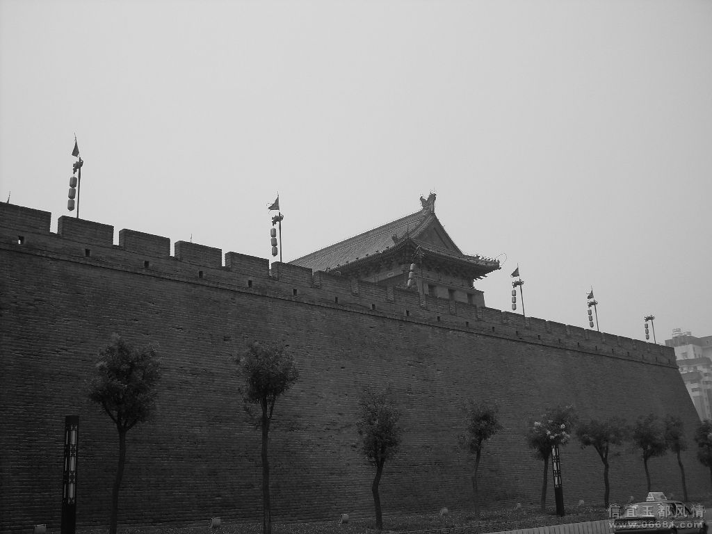 SDC10918.JPG