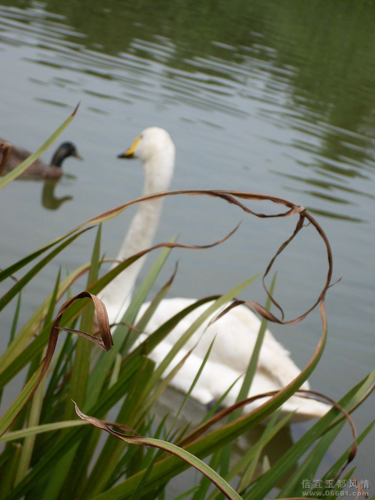 SDC10748.JPG