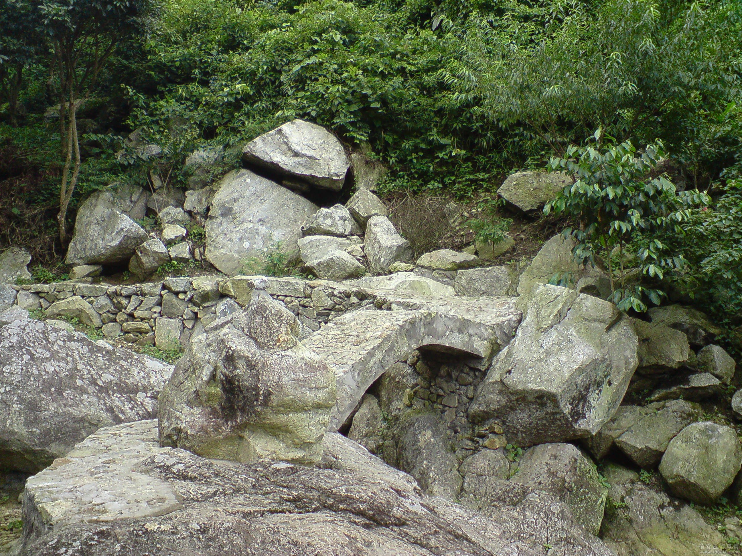 DSC00043.JPG
