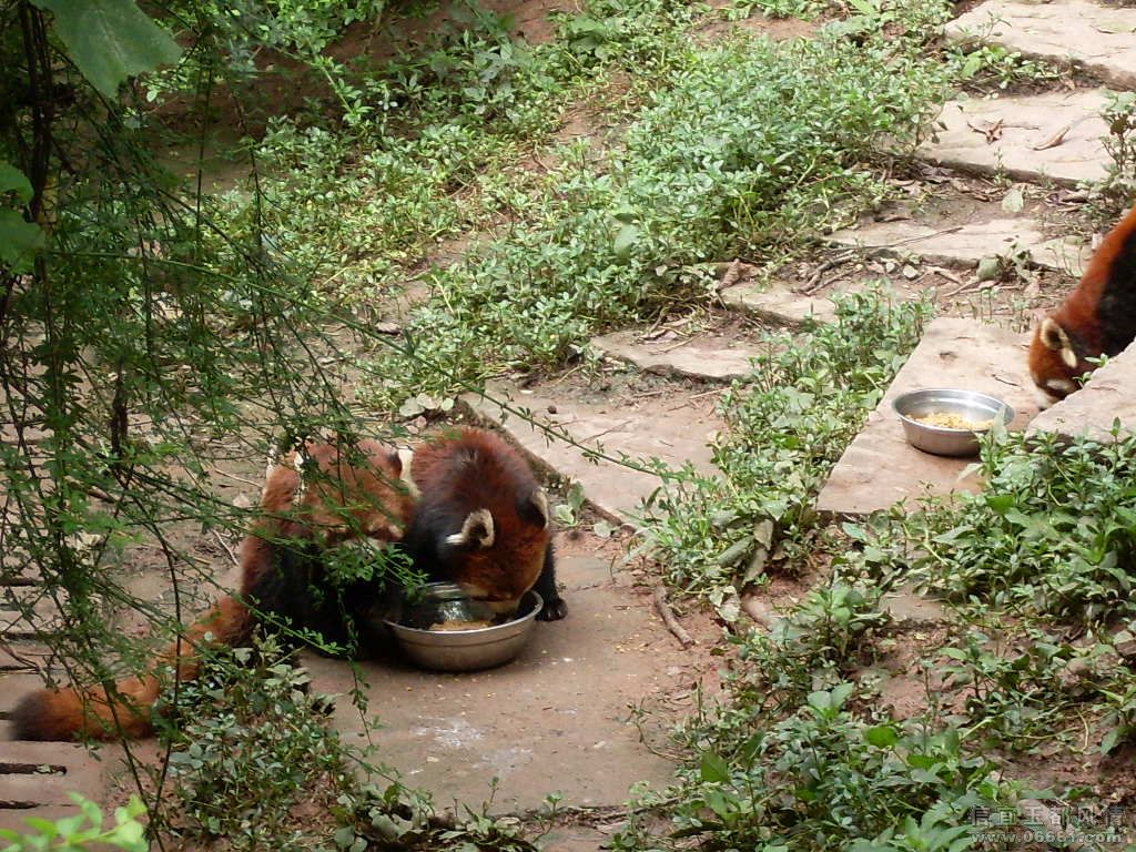 SDC10700.JPG