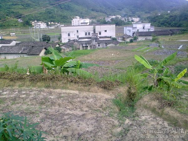 20090722714.jpg