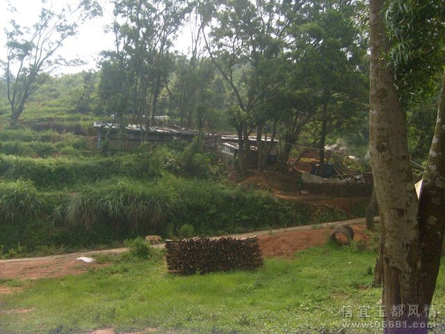 S6306021.JPG