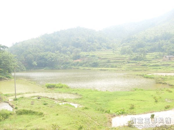 S6306107.JPG