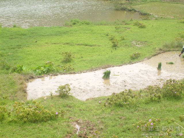 S6306106.JPG