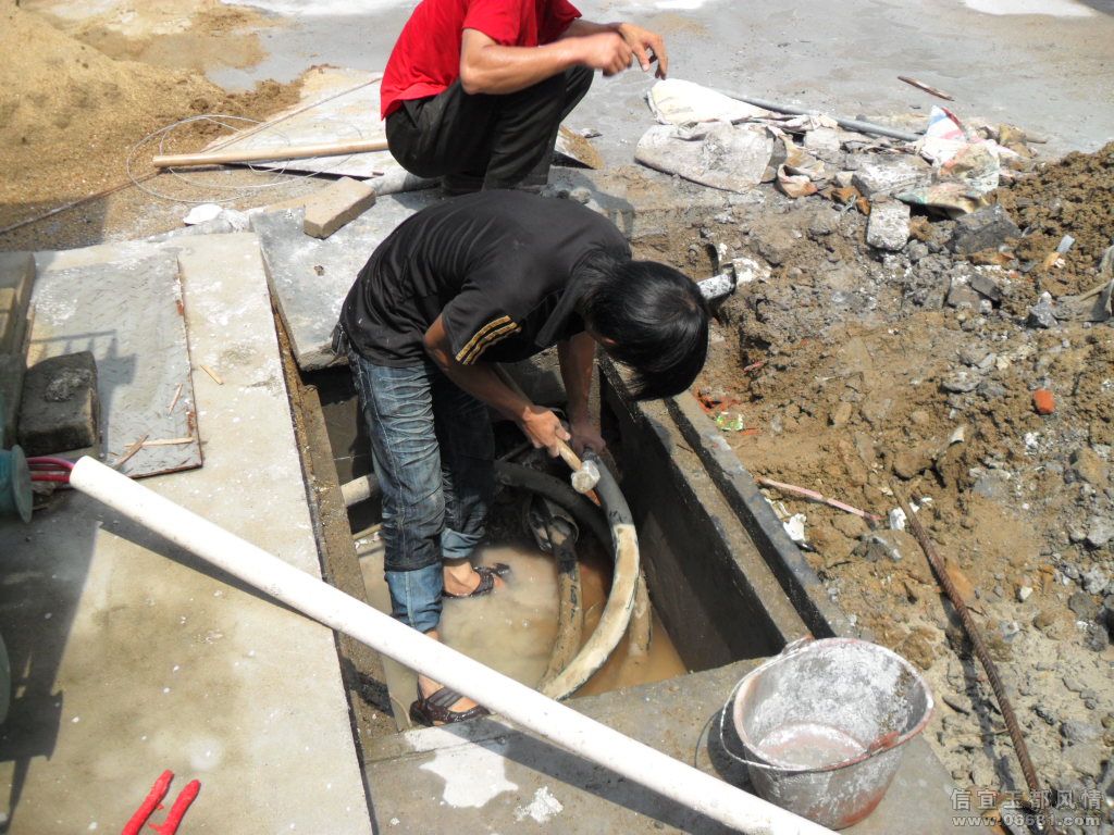SDC10850.JPG