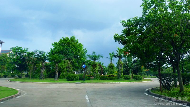 P1060024.jpg