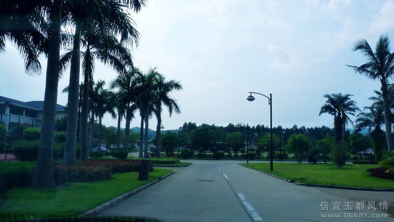 P1050946.jpg