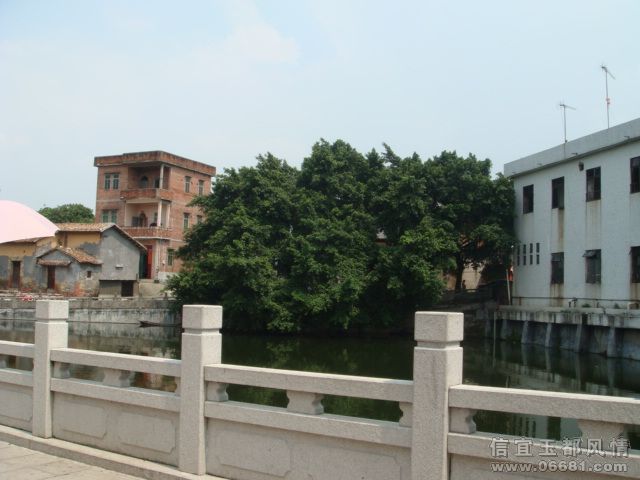 DSC01540.JPG
