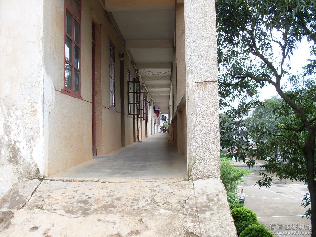 SDC17606.JPG