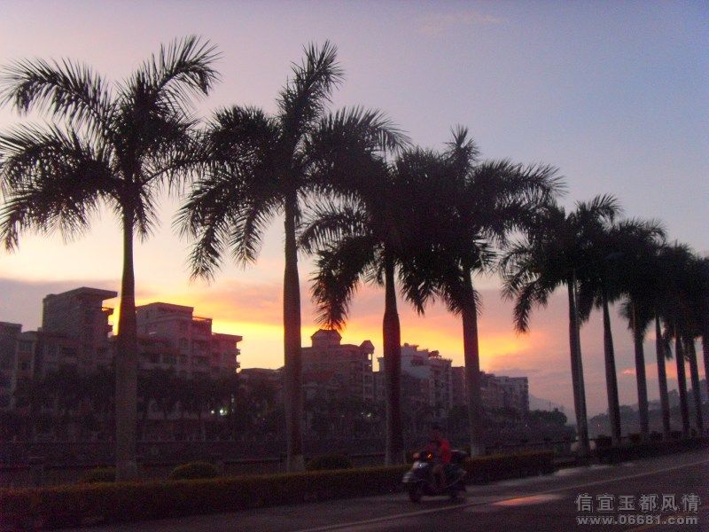 SDC11427.jpg