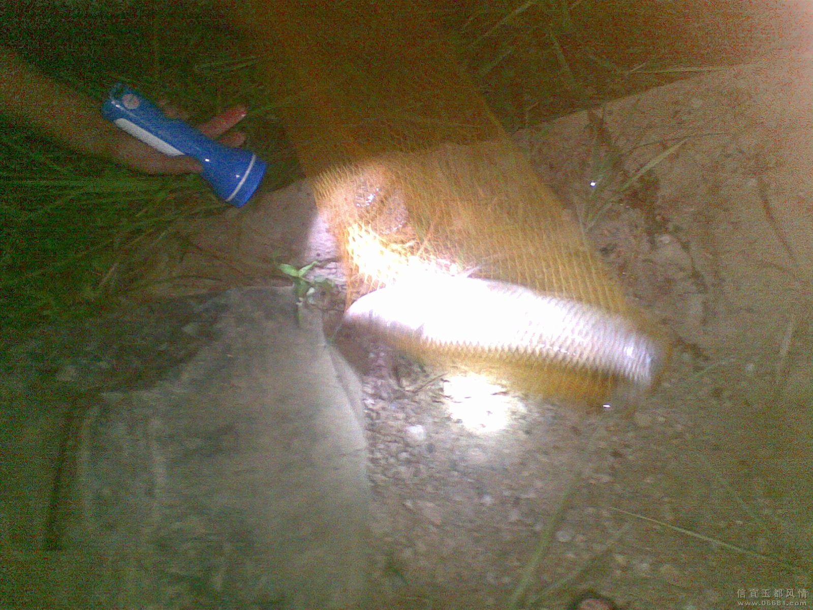20090820_005.jpg