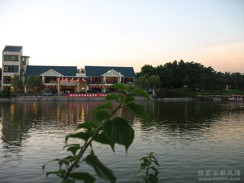 img003.jpg