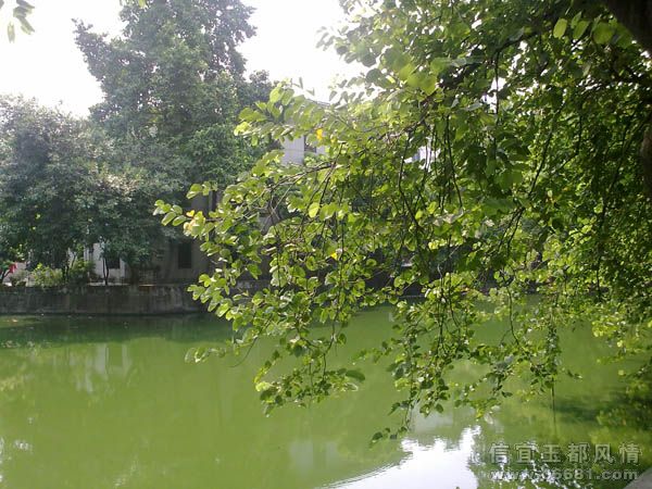 20090822901.jpg