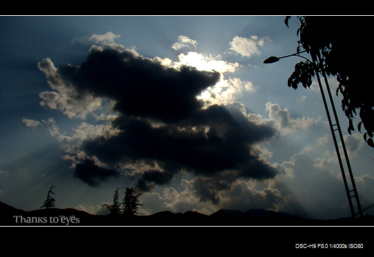 DSC07533.jpg
