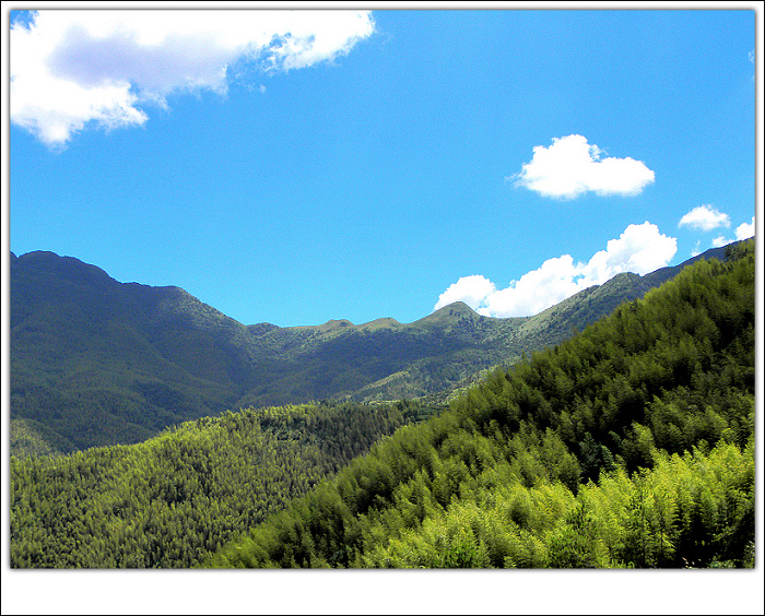 DSCN2501.jpg