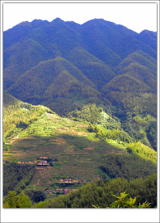 DSCN2673.jpg