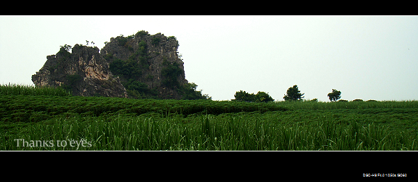 DSC07284.jpg