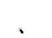 026.gif