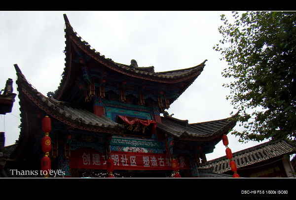 DSC07774.jpg