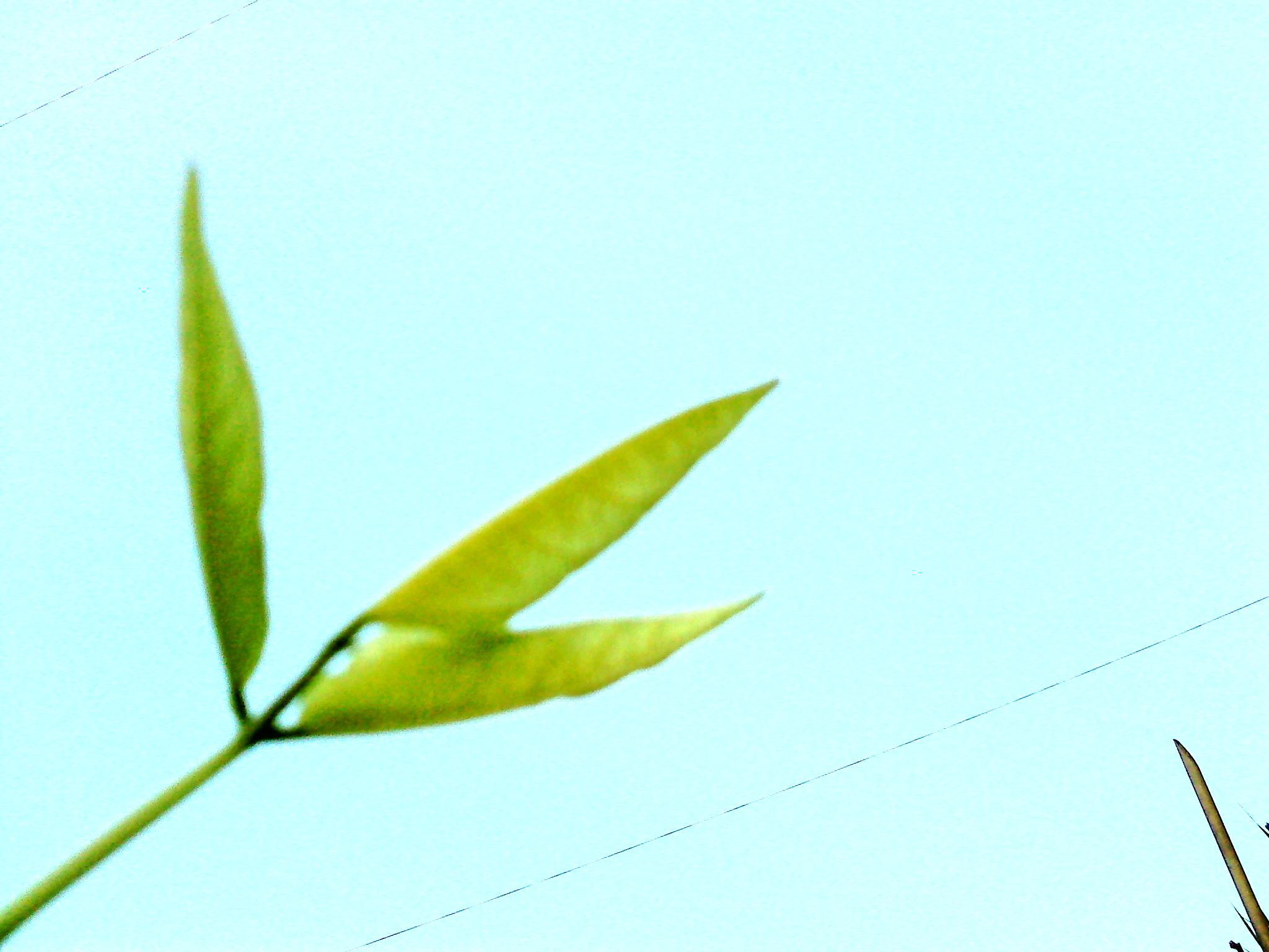 DSC00056.JPG