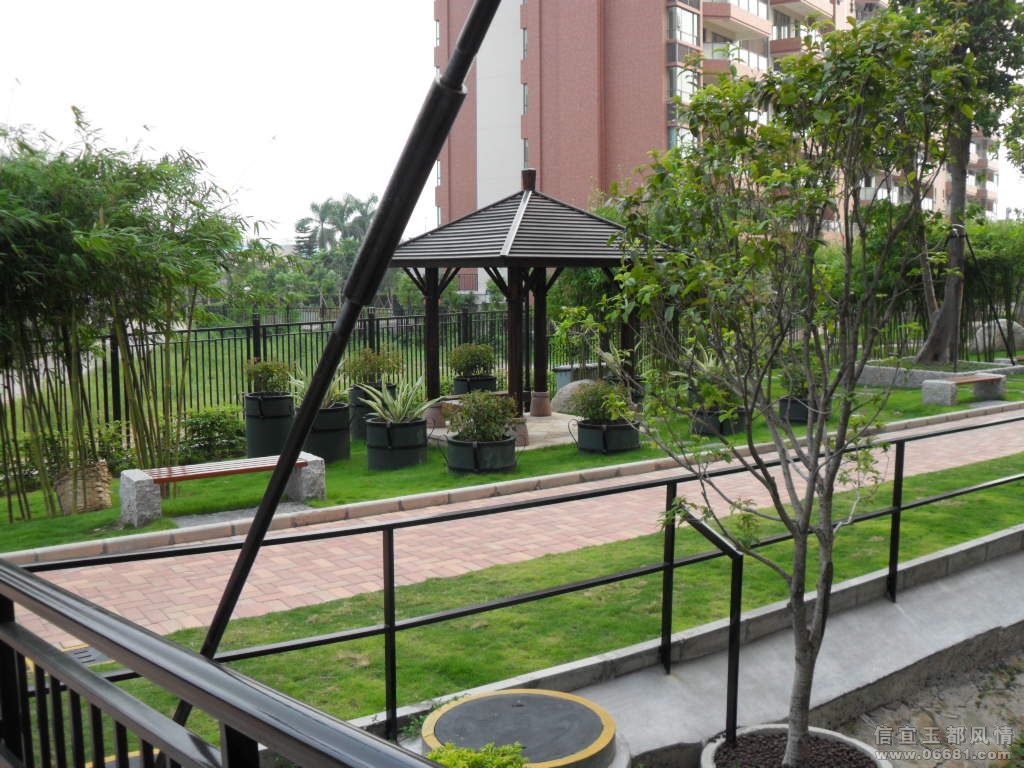 SDC11353.JPG