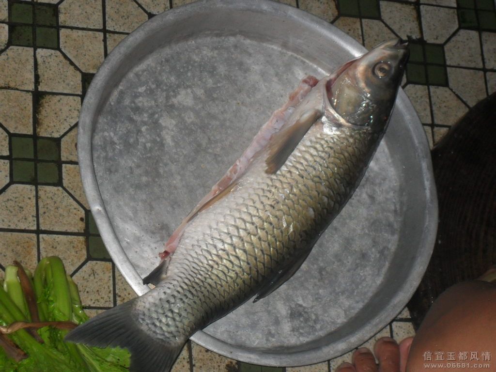 ��Ƭ 073.jpg