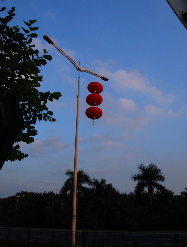 DSC_9989.jpg