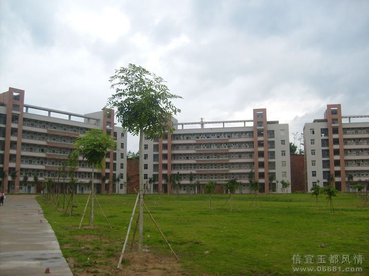 S6306217.JPG
