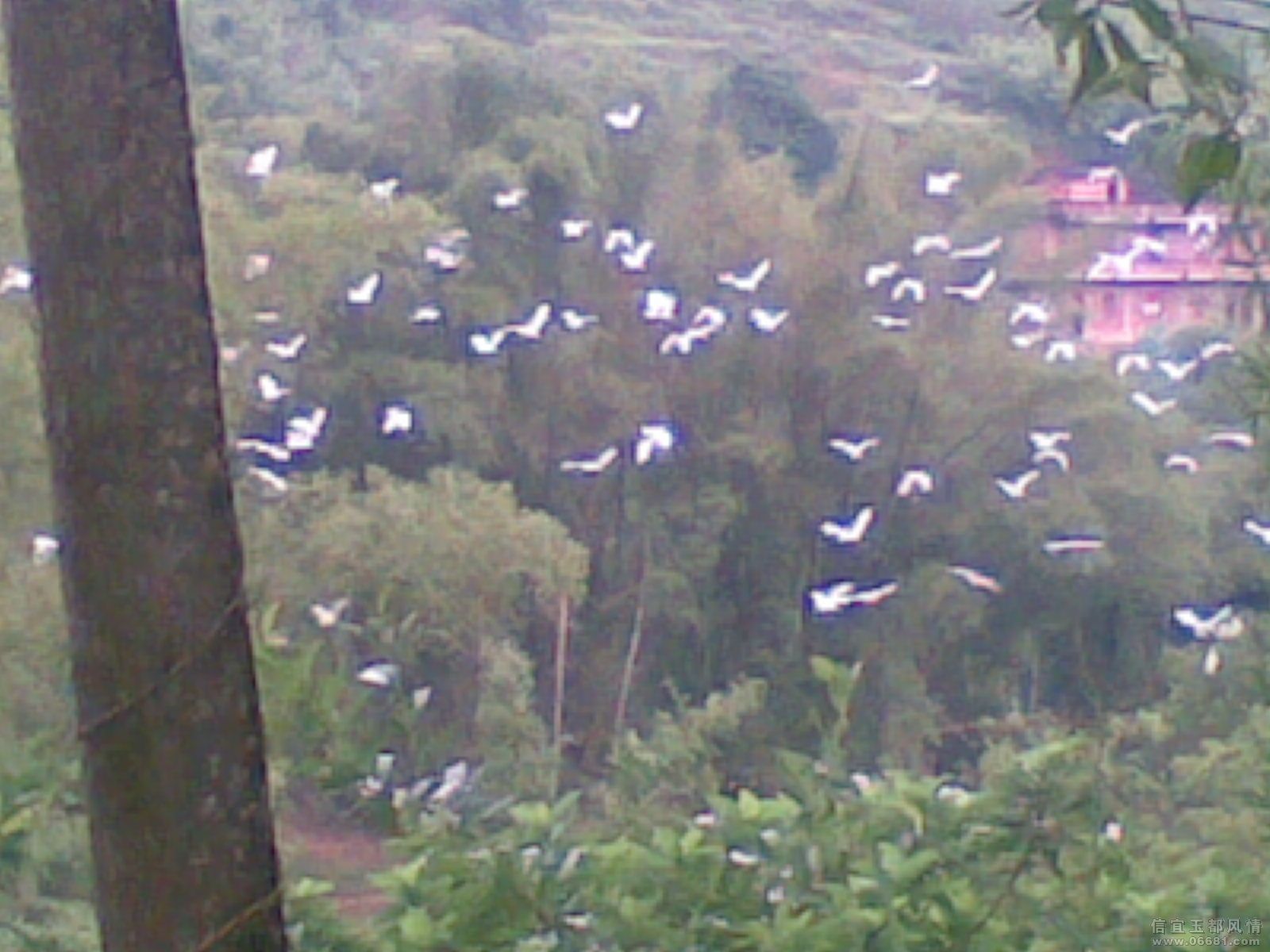 20090930_007.jpg