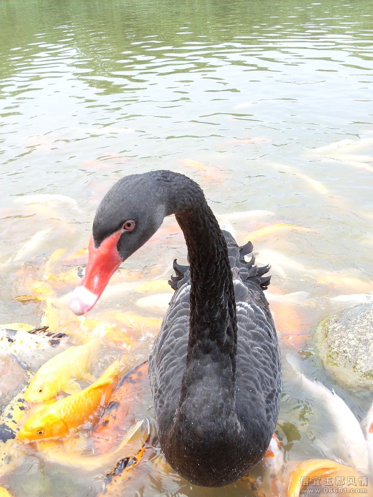 SDC10758.JPG