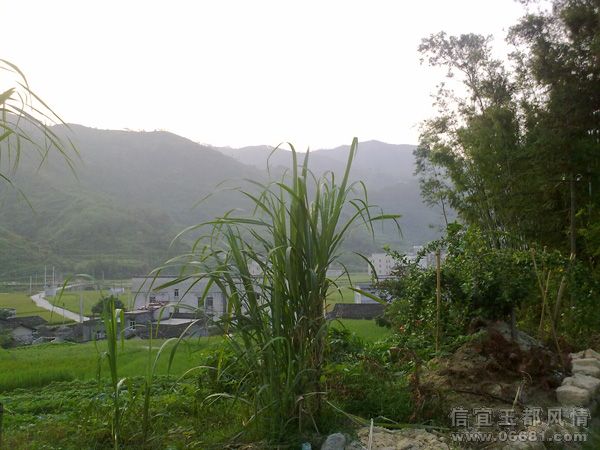 200910031353.jpg