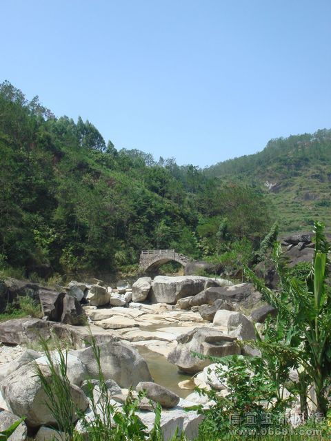DSC00596.JPG