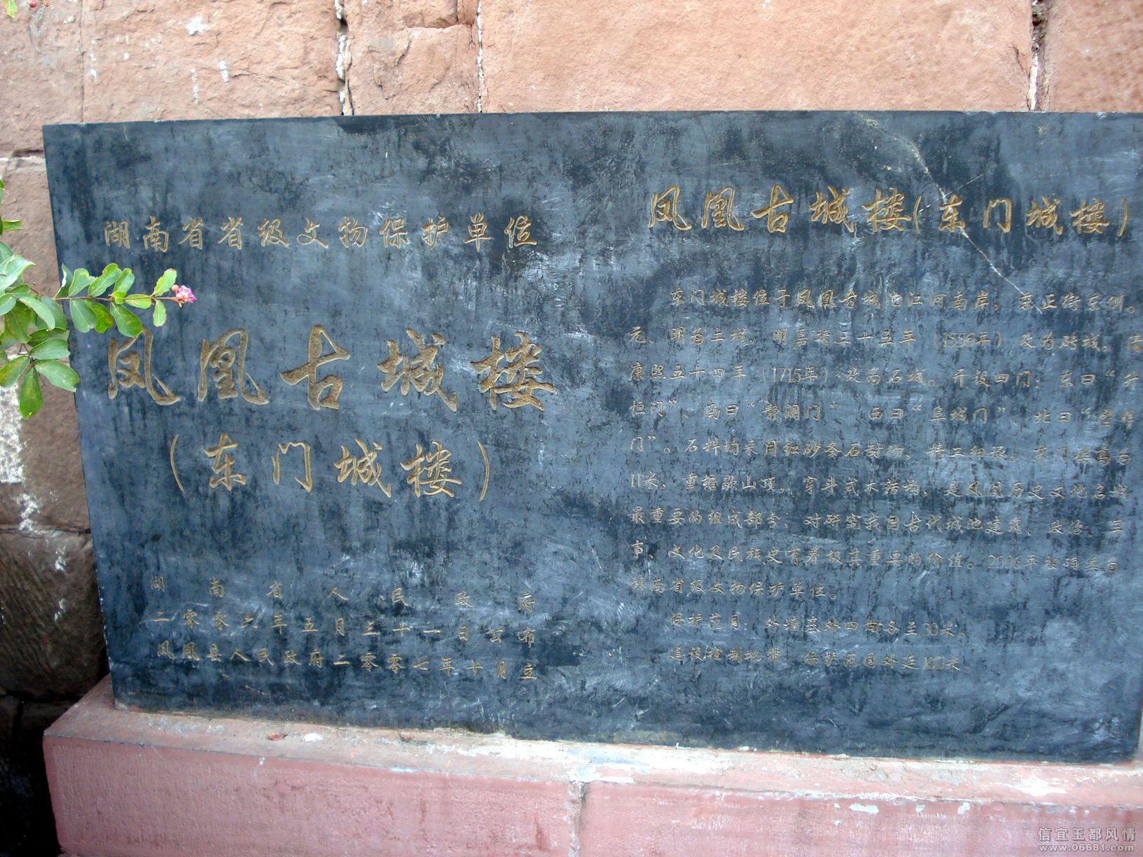 DSC06751.JPG