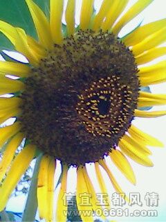 IMG0662A.jpg